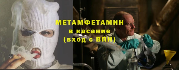 сатива Новокубанск