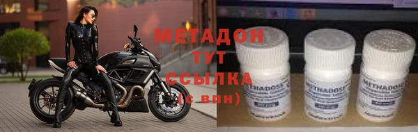 сатива Новокубанск