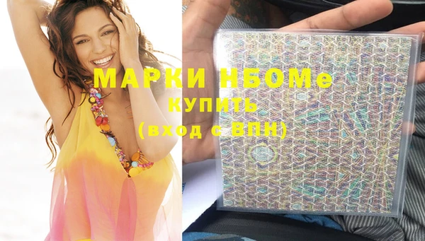 сатива Новокубанск