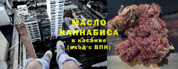 сатива Новокубанск