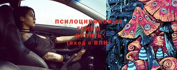сатива Новокубанск