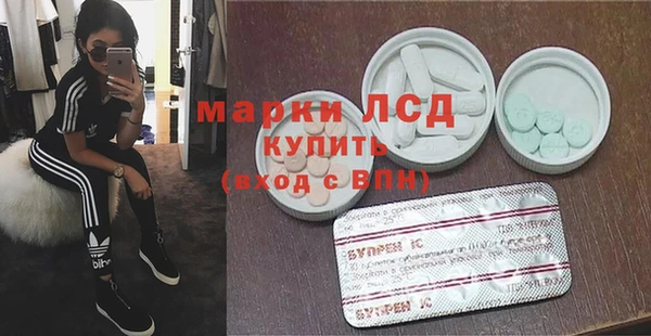сатива Новокубанск